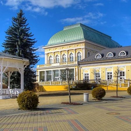 Penzion U Modreho Slona Франтишкови-Лазне Экстерьер фото