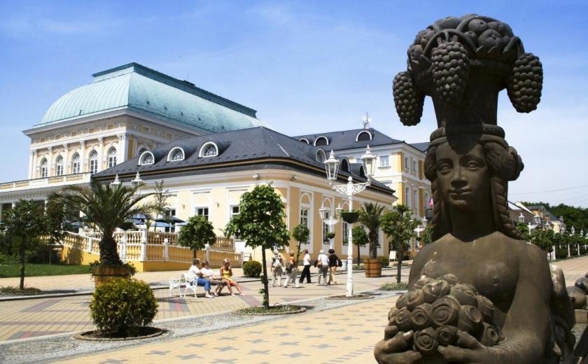 Penzion U Modreho Slona Франтишкови-Лазне Экстерьер фото